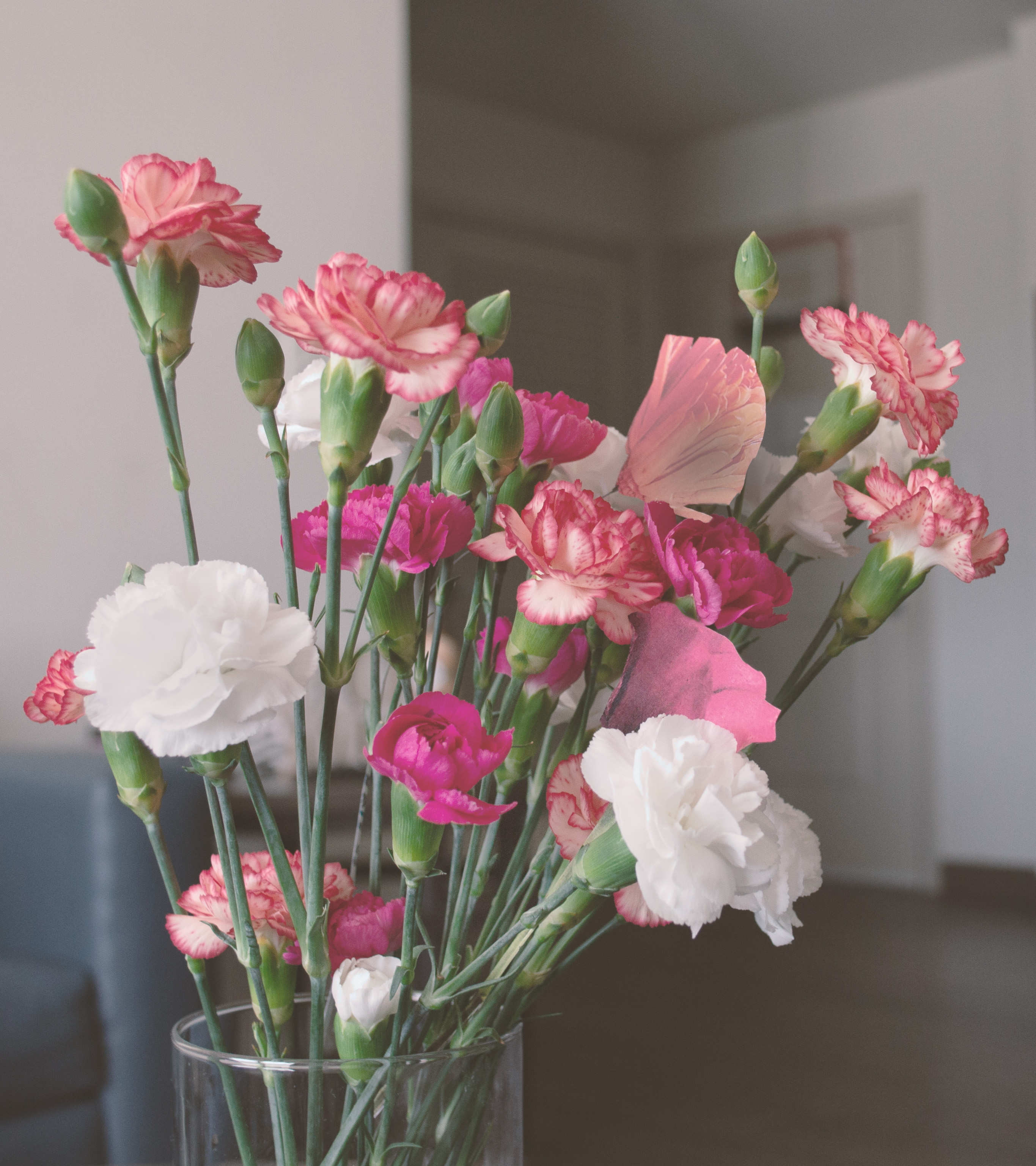 Constructed photography floral piece by Emily Taylor