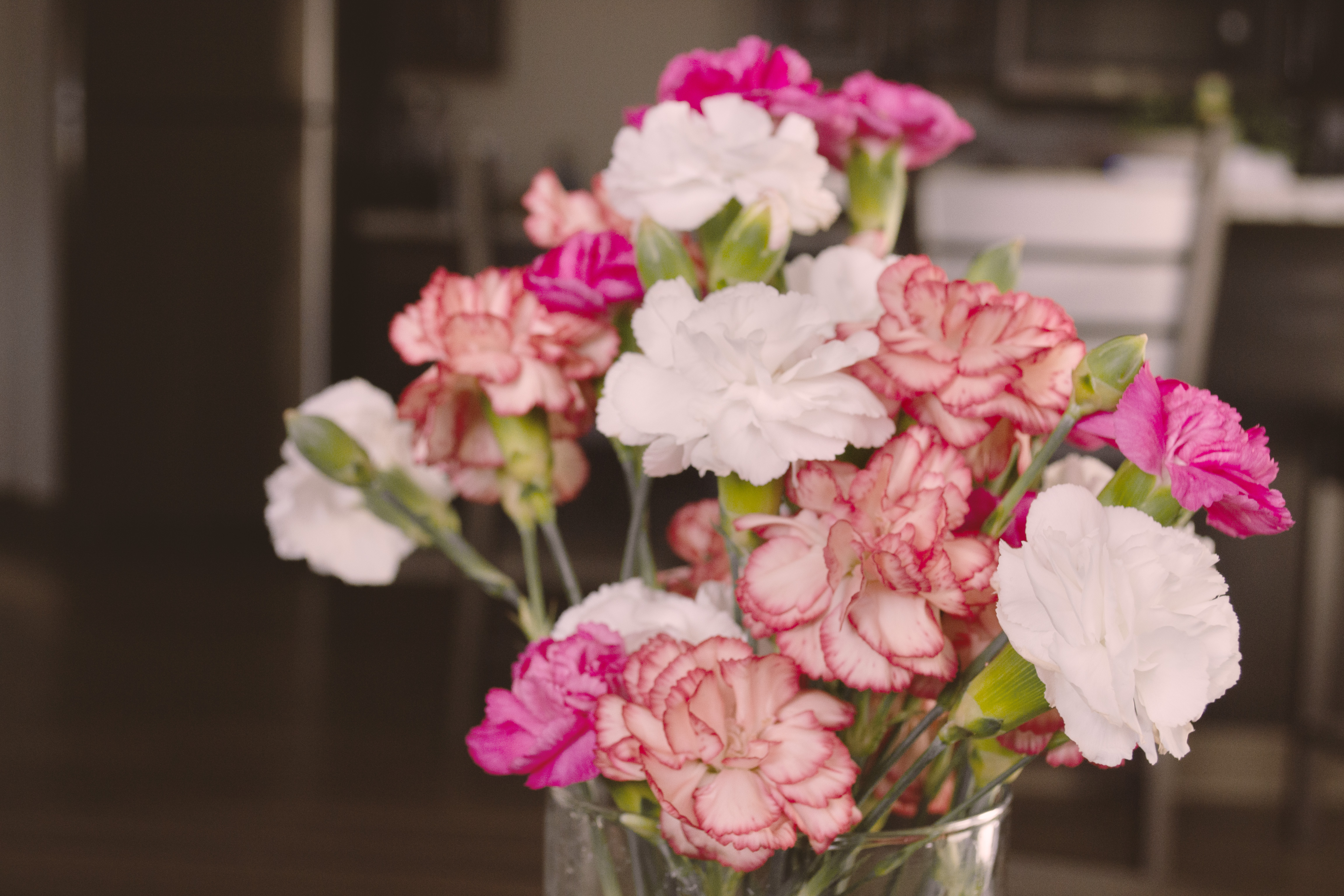 Narrative flower photograph two by Emily Taylor