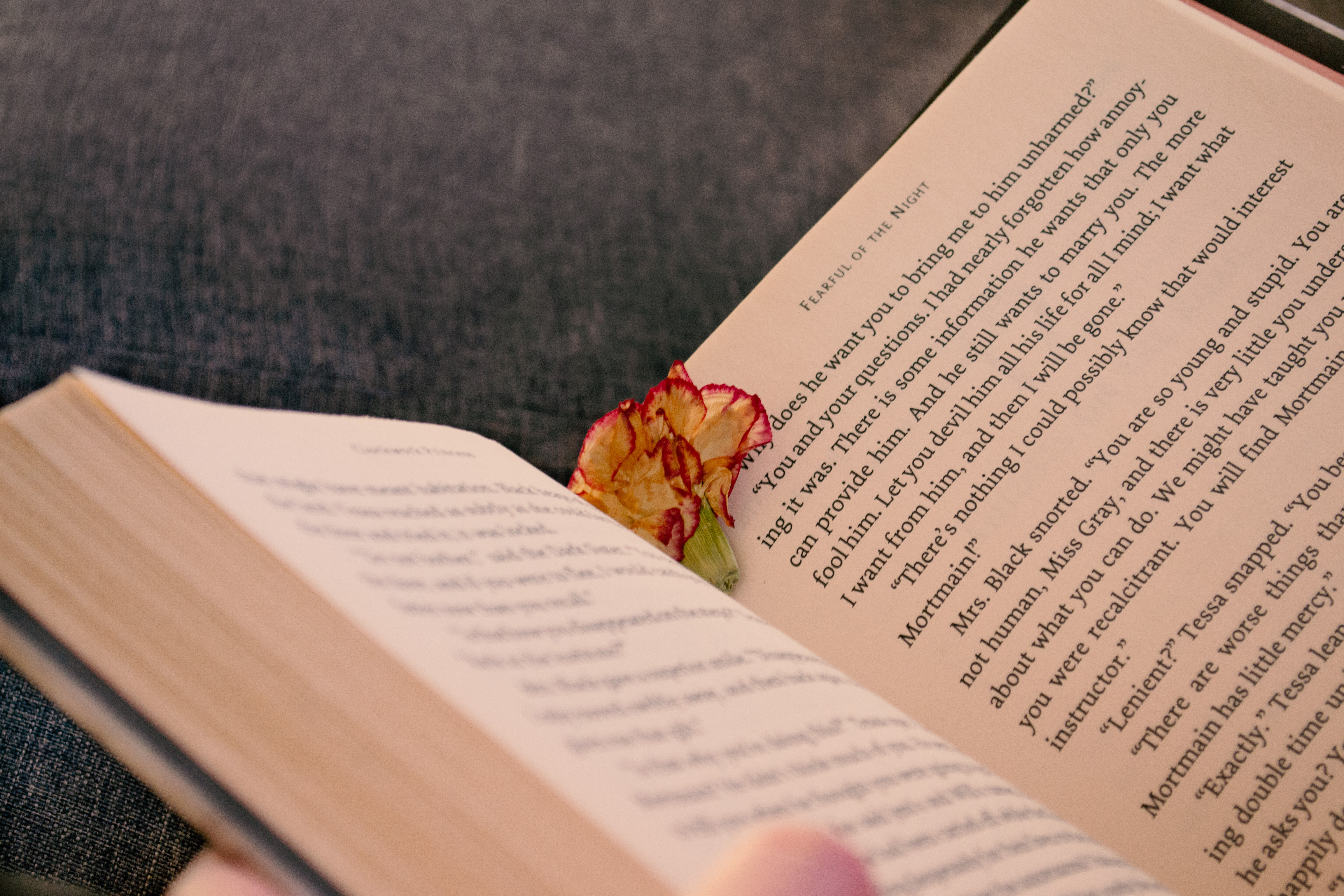 Narrative flower photograph four by Emily Taylor